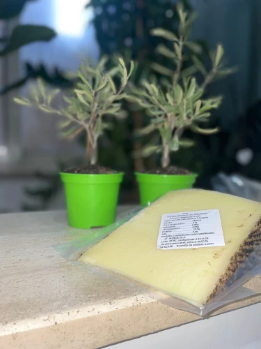 Pecorino Dojrzewające 520-560 g.webp