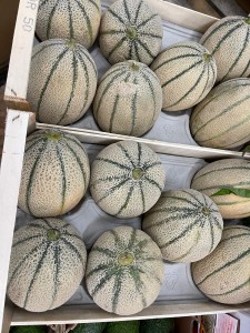 Sycylijski melon kantalupa (1.2-1.5 KG)