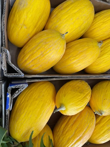 Sycylijski żółty melon 2.webp