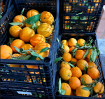 Pomarańcze Valencia z Hiszpanii 3 KG
