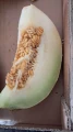 Melon Galia 2.webp