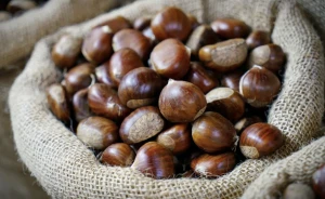 Kasztany 1 KG - Pochodzenie Sycylia