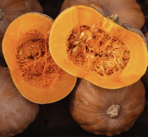 Dynia.webp
